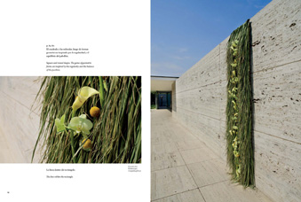 pàgina de Barcelona Arquitectura Floral